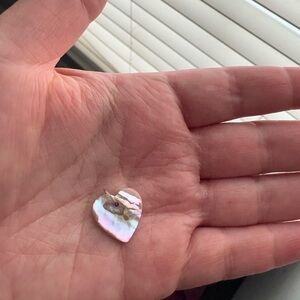 Catbird mother of pearl charm